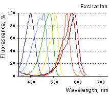 TagFPs excitation spectra.